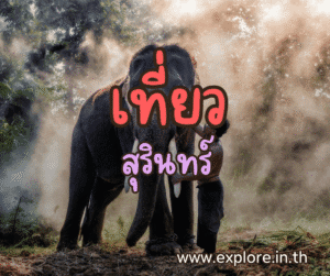 ที่เที่ยวในจังหวัดสุรินทร์